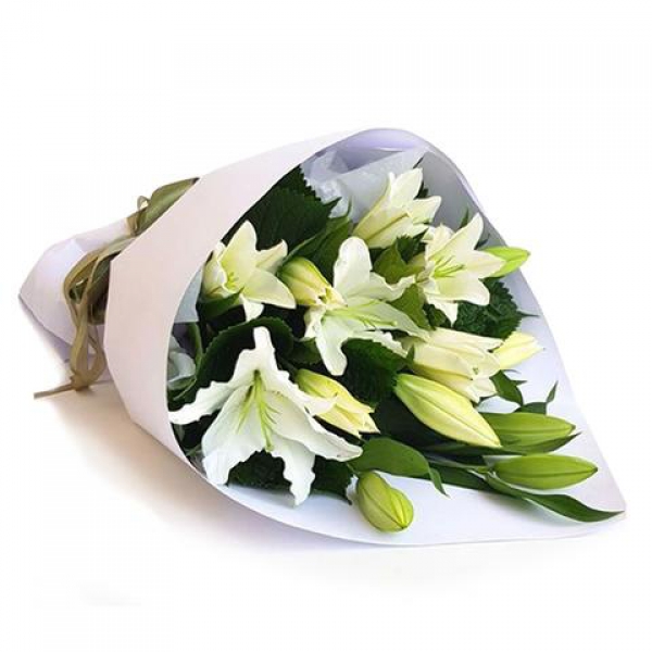  Antalya Çiçekçiler Beyaz Kazablanka Buketi-zc261