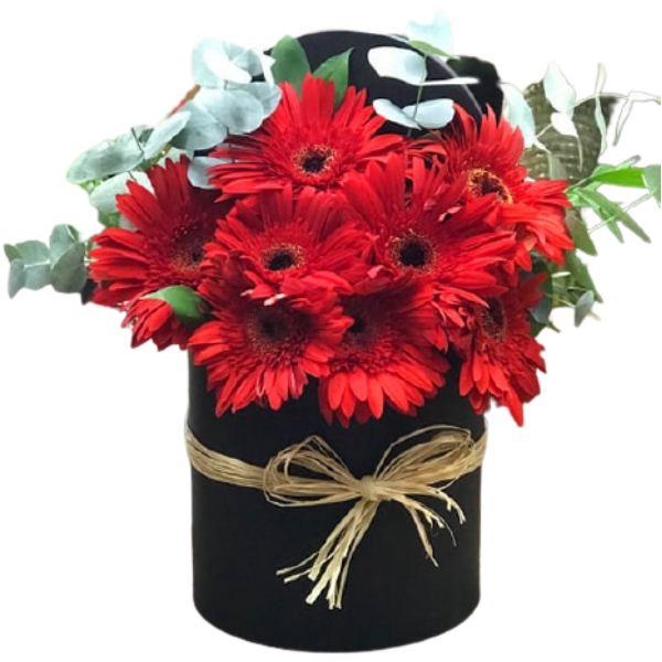  Antalya Çiçek Gönder Silindir Kutuda Kırmızı Gerberalar-zc285